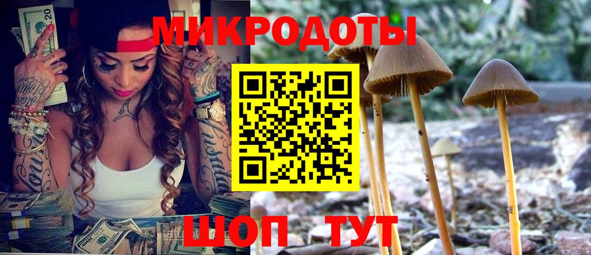 Галлюциногенные грибы прущие грибы Евпатория